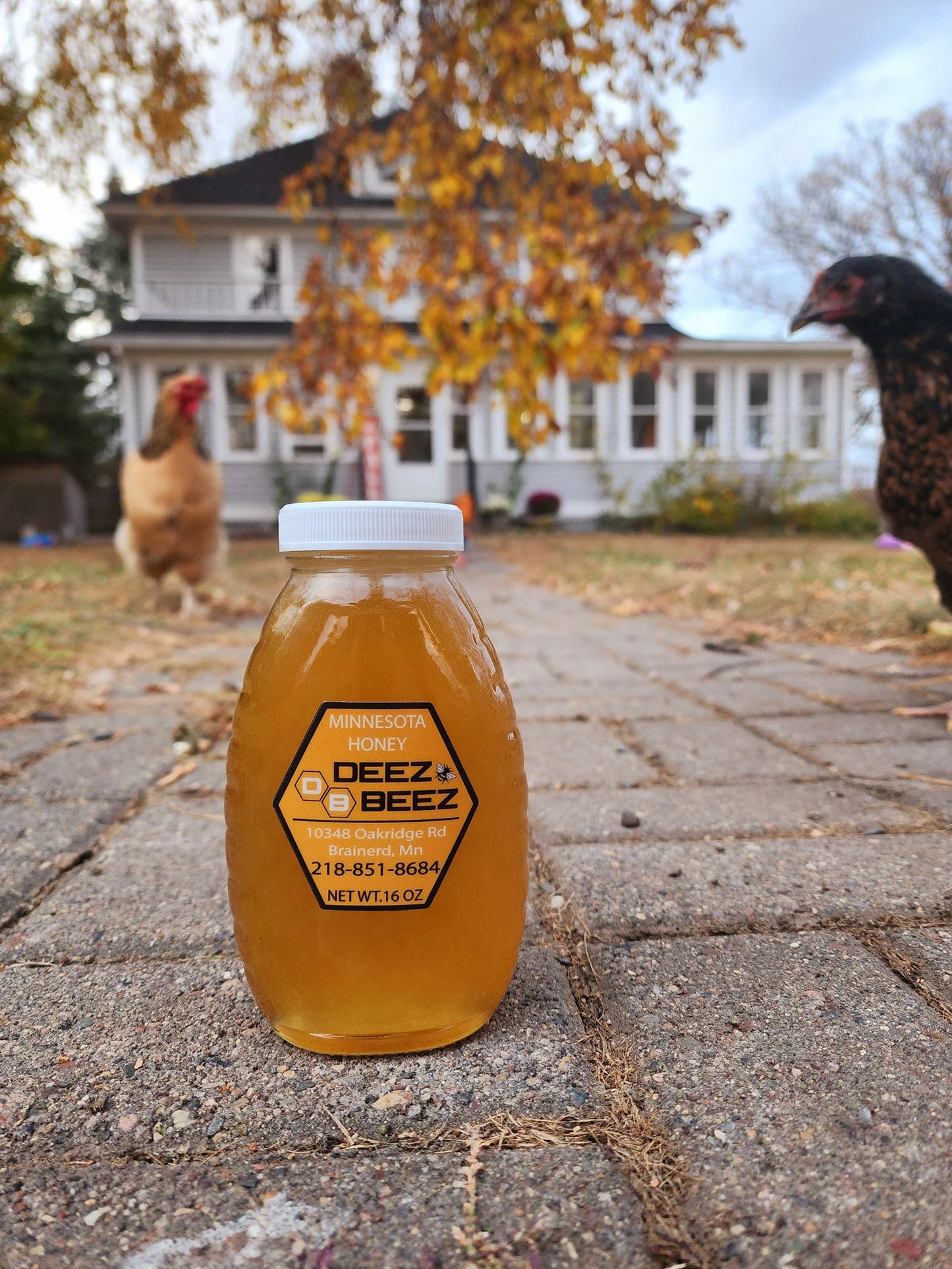 Local (Minnesota) Deez Beez Honey - 16 oz.