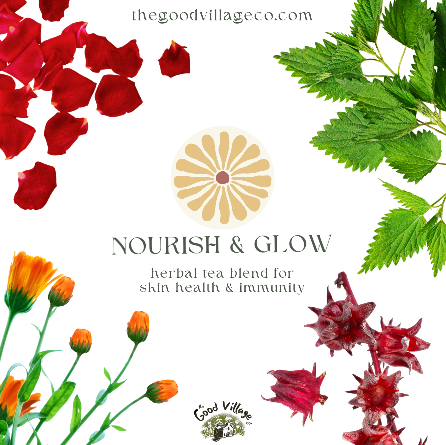 Nourish & Glow Herbal Tea - Collagen Production & Immune System Support