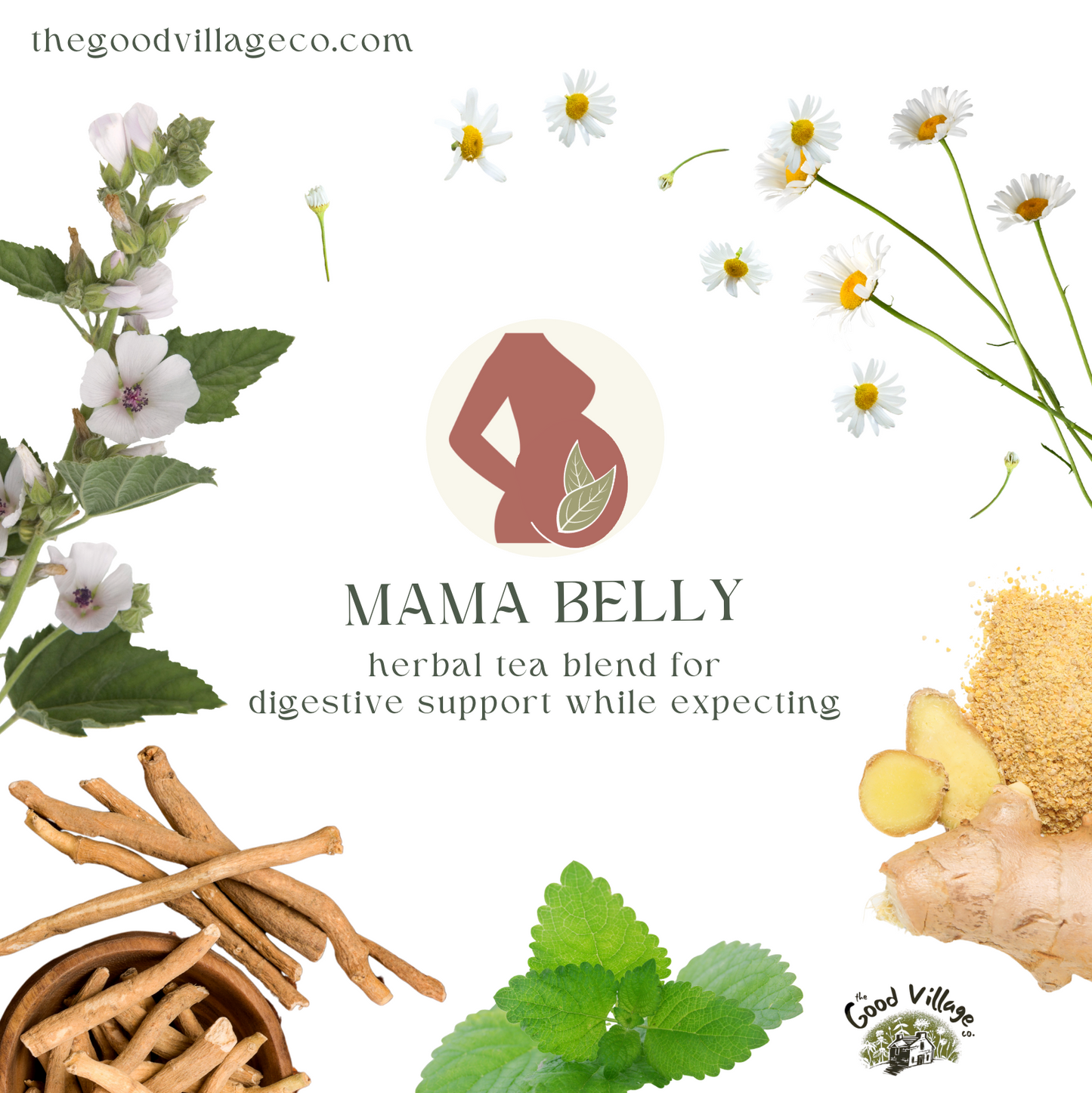 Mama Belly: Herbal Tea Blend for Digestive Support While Expecting (Caffeine-Free)