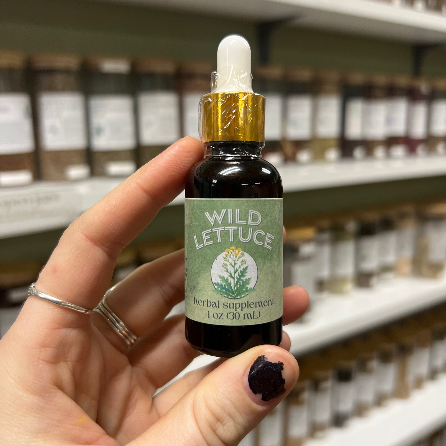 Wild Lettuce Tincture: 1oz Herbal Support for Relaxation & Comfort