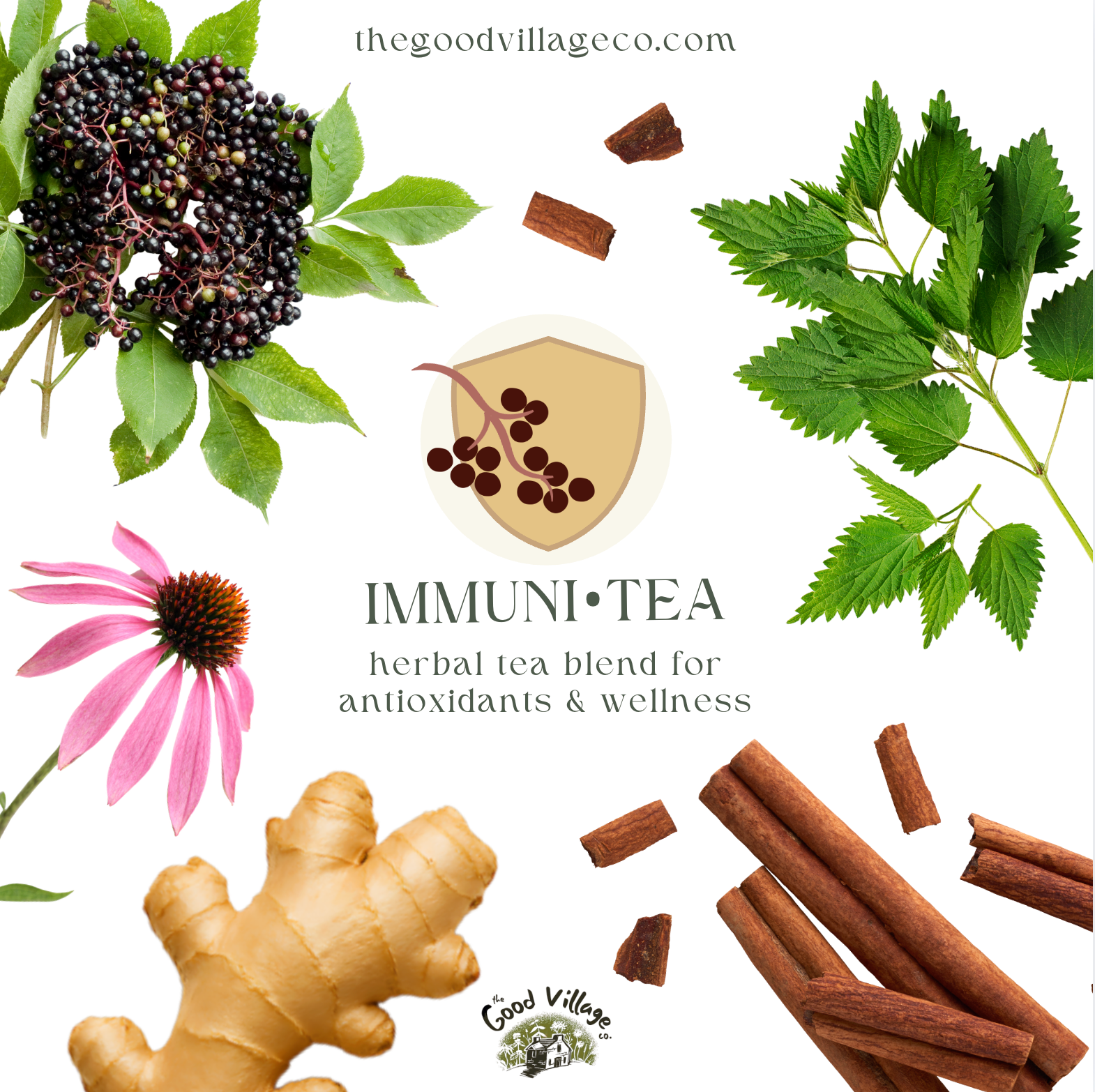Immuni•Tea: Loose-Leaf Herbal Tea Blend for Antioxidants & Wellness (C ...